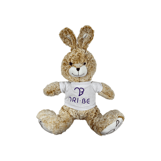 TRI-BE Rabbit Plush // Soeun